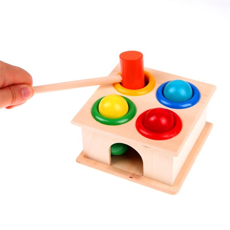 Montessori Educational Wooden Toys